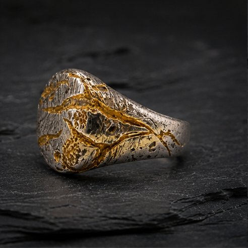 THE FAULTLINE COLLECTION